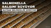 İngiltere'de Salmonella Vakaları Kaynağı Bulunana Kadar Artmaya Devam Edecek