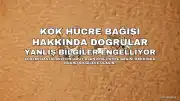 Kök Hücre Bağışında Yanlış Bilgiler Umutları Engelliyor: Bir Bağış Bir Hayat Kurtarabilir