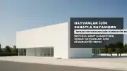 Sokak Hayvanları İçin Sanatla Dayanışma: 'Bir Yuva Çizeceksin' Sergisi Açıldı