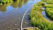 Ülkenin En Kirli Nehri Yapay Sulak Alanlarla Temizlenecek