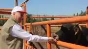 Bayraktar'dan Sivas'ta Su Sorununa Dikkat Çekti
