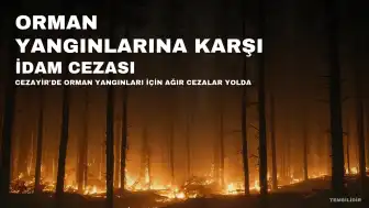 Cezayir'de Orman Yangınlarına Karşı İdam Cezası Yolda