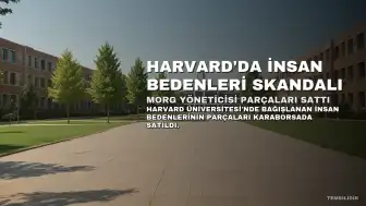 Harvard'da İnsan Bedenleri Üzerinden Skandal: Morg Yöneticisi Parçaları Karaborsada Sattı