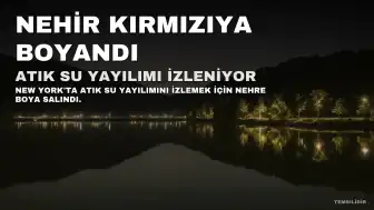 Bilim İnsanları Patchogue Nehri'ni Araştırma İçin Kırmızıya Boyadı