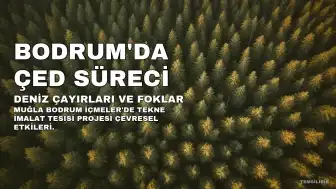 Bodrum İçmeler'de Deniz Çayırlarının Yanına Tekne İmalat Tesisi Planlanıyor