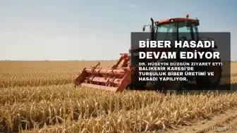 Karesi'de Turşuluk Biber Hasadı Devam Ediyor