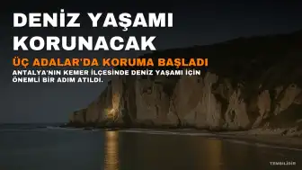 Üç Adalar'da Deniz Yaşamını Koruma Çalışmaları Başladı