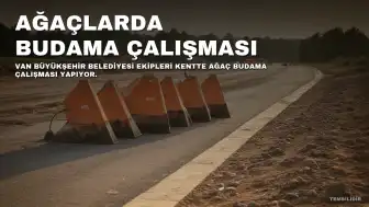 Van Belediyesi Ekipleri Şehirdeki Ağaçlarda Budama Çalışması Gerçekleştiriyor