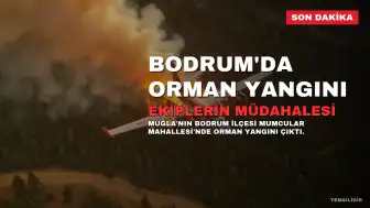 Bodrum'da Orman Yangını: Ekipler Havadan ve Karadan Müdahale Ediyor