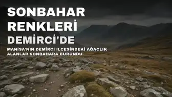 Demirci'de Sonbahar Renkleri Doğayı Sardı
