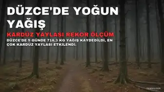 Düzce'de 5 Günde 718,3 Kilogram Yağış Kaydedildi, En Çok Kardüz Yaylası Etkilendi