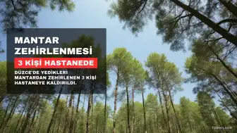 Düzce'de Mantar Zehirlenmesi: 3 Kişi Hastaneye Kaldırıldı