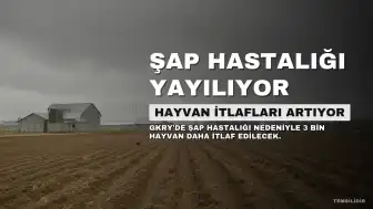 GKRY'de Şap Hastalığı: 3 Bin Hayvan Daha İtlaf Edilecek, Toplam Sayı 83 Bini Aşacak
