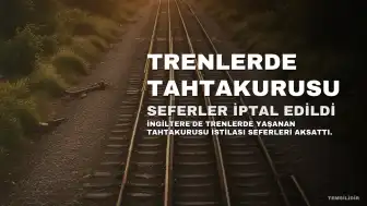 İngiltere Trenlerinde Tahtakurusu İstilası: Seferler İptal Edildi, Sürücüler Göreve Gitmeyi Reddetti