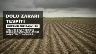 Kozan'da Dolu Yağışı Sonrası Üreticilere Başvuru Çağrısı