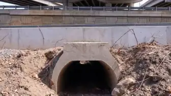 Tarantulaların Güvenli Geçişi İçin Otoyola Özel Tüneller İnşa Edildi