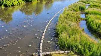 Ülkenin En Kirli Nehri Yapay Sulak Alanlarla Temizlenecek