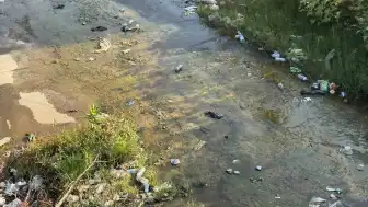 Aydın Efeler'de Tabakhane Deresi Çöplerle Doldu, Kirlilik Tehlikesi Kapıda