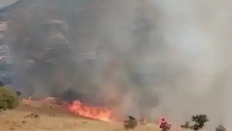 Tunceli'nin Nazımiye ilçesinde orman yangınına havadan ve karadan müdahale ediliyor