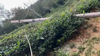 Artvin'de Kuvvetli Rüzgâr Üç İlçede Maddi Hasara Neden Oldu