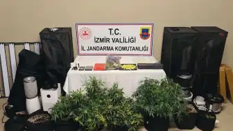 İzmir Karşıyaka'da Uyuşturucu Operasyonu: 1 Gözaltı, 7 Kök Skunk Ele Geçirildi