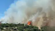 Çanakkale Ezine'de Orman Yangını: Havadan ve Karadan Müdahale Devam Ediyor