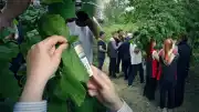 Akyazı'da Kahverengi Kokarca ile Mücadele: Samuray Arıları Doğaya Salındı