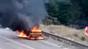 Kozan'da Otomobil Yangını: 13 Yaşındaki Ö.K.B.'nin Müdahalesi Orman Yangınını Engelledi