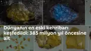 Bilim Dünyasında Rekor Keşif: 385 Milyon Yıllık En Eski Kehribar Bulundu