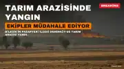 Bilecik'te Tarım Arazisinde Yangın: Ekipler Müdahale Ediyor