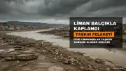Cide Limanı ve Balıkçı Barınağı Su Taşkınları Nedeniyle Balçık ve Atıklarla Kaplandı