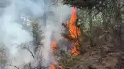 Kütahya'da Ormanlık Alanda Yangın Çıktı