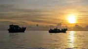 Myanmar Açıklarında 500'den Fazla Rohingya Mültecisi Kayboldu