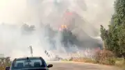 Bursa İznik'te Çöp Depolama Tesisinde Çıkan Yangın Ormanlık Alana Sıçradı