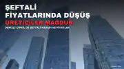 Çivril'de Şeftali Üreticileri Fiyat Düşüşüyle Karşı Karşıya: 'Üretmenin Anlamı Kalmıyor'