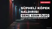 Sydney'de Şüpheli Köpek Saldırısı Sonucu Genç Adam Hayatını Kaybetti