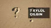 7 Eylül Çılgın Sayısal Loto Sonuçları Açıklandı mı? MPİ Sonuç Sorgulama Ekranı