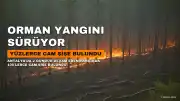 Antalya'da Orman Yangını 2 Gündür Devam Ediyor: Bölgede Yüzlerce Cam Şişe Bulundu