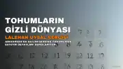Lalehan Uysal'ın Tohumların Gizli Dünyası Sergisi Açıldı