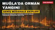 Muğla'nın Menteşe ilçesinde orman yangını: 13 helikopter ve 7 uçakla müdahale ediliyor