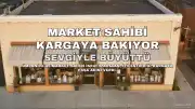 Ümraniye'de Market Sahibi İsrafil Arslan, İyileştirdiği Kargaya "Paşa" Adını Vererek Sevgiyle Bakıyor