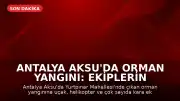 Antalya Aksu'da Orman Yangını: Ekiplerin Müdahalesi Sürüyor
