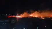 Balıkesir Burhaniye'de Otluk Alanda Yangın Çıktı