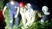 Bartın'da ırmağa düşen alkollü şahıs ekiplerce kurtarıldı
