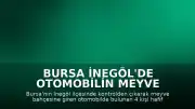 Bursa İnegöl'de otomobilin meyve bahçesine girmesi sonucu 4 kişi yaralandı