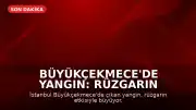 Büyükçekmece'de Yangın: Rüzgarın Şiddetiyle Alevler Yayılmaya Devam Ediyor