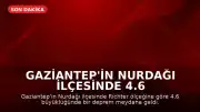 Gaziantep'in Nurdağı ilçesinde 4.6 büyüklüğünde deprem kaydedildi
