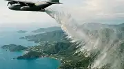 İzlanda'da Erozyonla Mücadele İçin Kullanılan Bitki Yeni Bir Ekolojik Kriz Yarattı