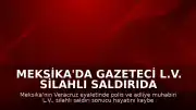 Meksika'da Gazeteci L.V. Silahlı Saldırıda Hayatını Kaybetti