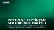Zeytin ve Zeytinyağı Sektöründe Maliyet ve İhracat Kaygısı: Üretici Destek Bekliyor